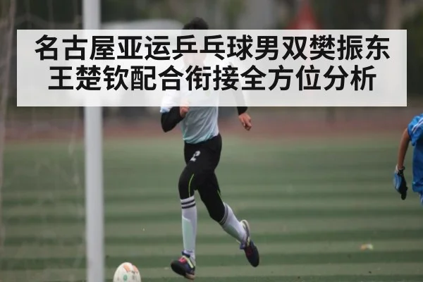 名古屋亚运乒乓球男双樊振东王楚钦配合衔接全方位分析 | c7c7.vip，c7c7.app